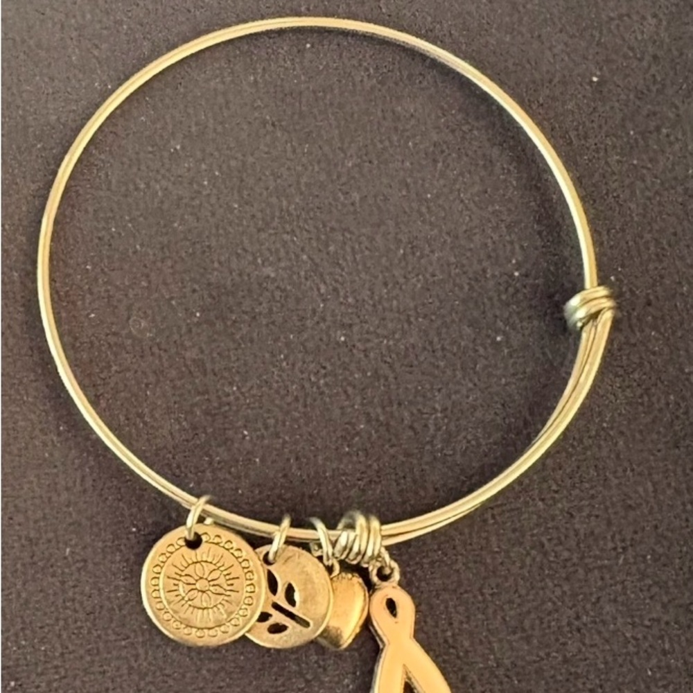 💚Alex and Ani Silver Bangle Bracelet with Charms